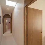 Calmita By Aura Collection لاجاريس